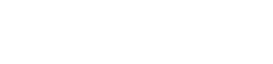 logo basic to iconic